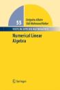 Numerical Linear Algebra - Preview