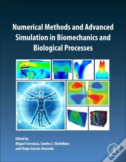 Capa do artigo Numerical Methods And Advanced Simulation In Biomechanics And Biological Processes