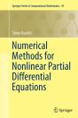 Numerical Methods For Nonlinear Partial Differential Equations - Preview