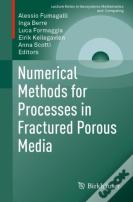 Numerical Methods For Processes In Fractured Porous Media