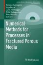 Numerical Methods For Processes In Fractured Porous Media - Preview