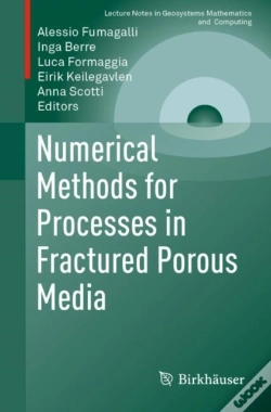 Capa do artigo Numerical Methods For Processes In Fractured Porous Media