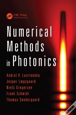 Capa do artigo Numerical Methods In Photonics