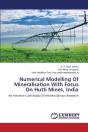 Numerical Modelling Of Mineralisation With Focus On Hutti Mines, India - Preview