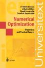 Numerical Optimization - Preview