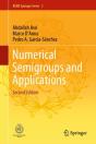 Numerical Semigroups And Applications - Preview