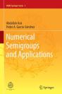 Numerical Semigroups And Applications - Preview