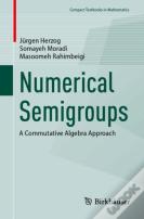 Numerical Semigroups