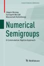 Numerical Semigroups - Preview