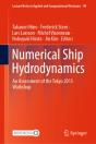 Numerical Ship Hydrodynamics - Preview