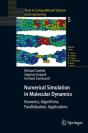 Numerical Simulation In Molecular Dynamics - Preview