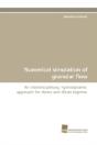 Numerical Simulation Of Granular Flow - Preview