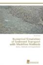 Numerical Simulation  Of Sediment Transport With Meshfree Methods - Preview