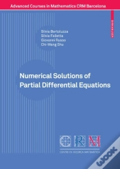 Capa do artigo Numerical Solutions Of Partial Differential Equations
