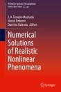 Numerical Solutions Of Realistic Nonlinear Phenomena - Preview