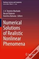Numerical Solutions Of Realistic Nonlinear Phenomena