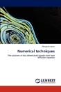 Numerical Techniques - Preview