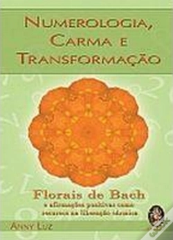 Capa do artigo Numerologia, Carma e Transformação