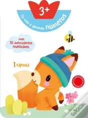 Capa do artigo Números +3 - Raposa