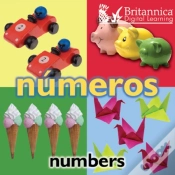 Capa do artigo Numeros (Numbers)