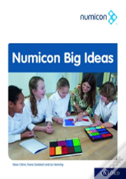 Numicon: Big Ideas