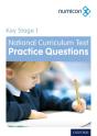 Numicon: Key Stage 1 National Curriculum Test Practice Questions - Preview