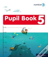 Numicon: Numicon Pupil Book 5