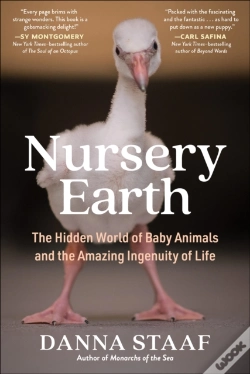 Capa do artigo Nursery Earth