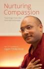 Nurturing Compassion - Preview