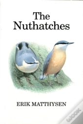 Nuthatches