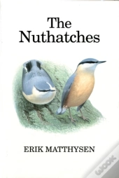 Nuthatches