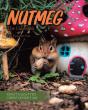 Nutmeg The Chipmunk: Fun Facts For Kids - Preview