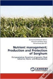 Nutrient Management; Production And Protection Of Sorghum