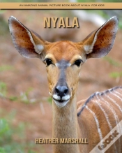 Capa do artigo Nyala