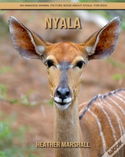 Capa do artigo Nyala