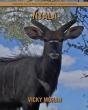 Nyala - Preview