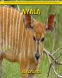 Nyala - Preview