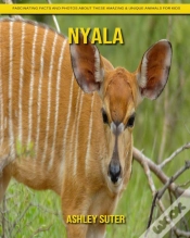 Capa do artigo Nyala