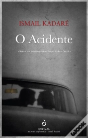 Capa do artigo O Acidente