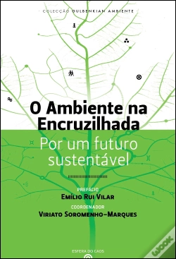 Capa do artigo O Ambiente na Encruzilhada