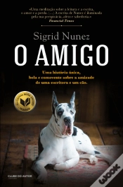 Capa do artigo O Amigo