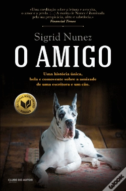 Capa do artigo O Amigo