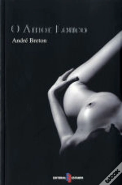 Capa do artigo O Amor Louco