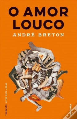 Capa do artigo O Amor Louco