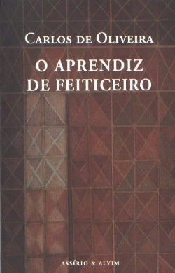Capa do artigo O Aprendiz de Feiticeiro