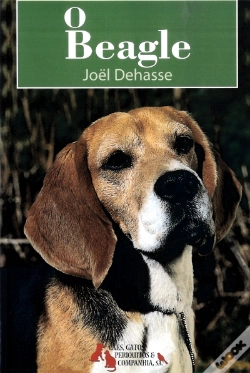 Capa do artigo O Beagle