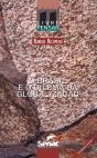 O Brasil E O Dilema Da Globalização - Preview