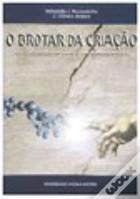 O Brotar da Criação