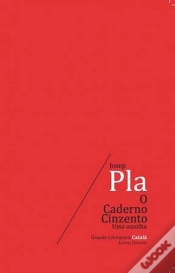Capa do artigo O Caderno Cinzento