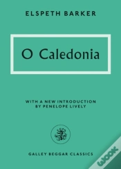 Capa do artigo O Caledonia